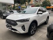 哈弗F7 2021 款 1.5T 两驱i炫