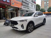 哈弗F7 2019 款 2.0T 两驱i范