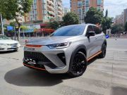 哈弗H6S 2022 款 2.0T 两驱智跑版